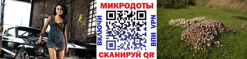 ОМГ ОМГ как войти  сколько стоит  Верхняя Тура  Псилоцибиновые грибы мухоморы 